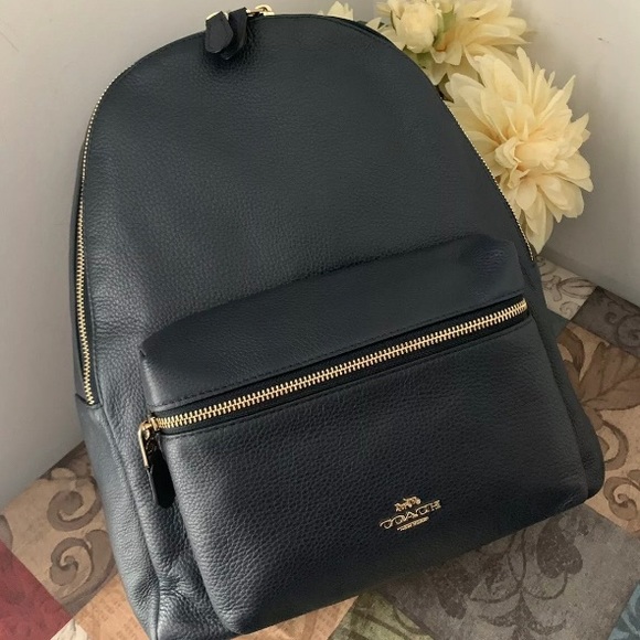 Coach Charlie F29004 Leather Backpack - Picture 1 of 4